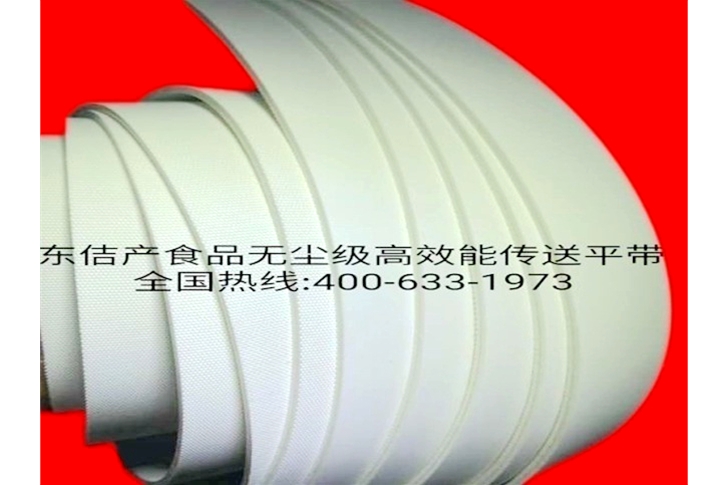 SMB20/WF食品无尘级能传送带